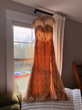 Gold Embellished Sheer Evening Gown